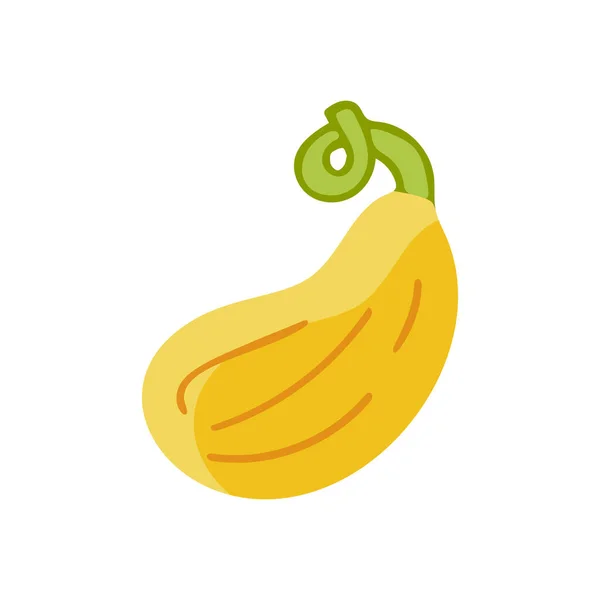 Platte Plantaardige Courgette Pictogram Geïsoleerd Witte Achtergrond Concept Voor Boeren — Stockvector