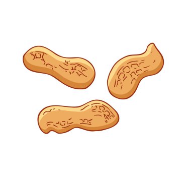 Beyaz arka planda izole edilmiş yerfıstığı simgeleri. Düz biçim vektör illüstrasyonu. 