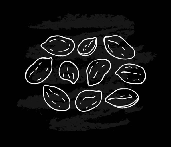 Set of white peanut icons isolated on black chalkboard background. Ink sketch of nuts. Hand drawn vector illustration. 