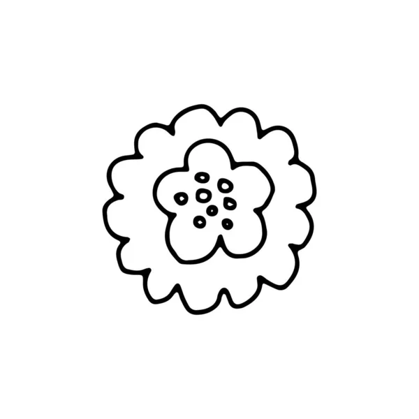 简单的手绘花卉元素分离在白色背景上 涂鸦的风格 植物媒介说明 — 图库矢量图片