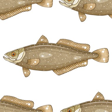 merluccius balık vektör çizimi 