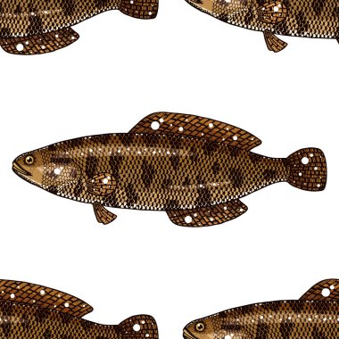 Yılan başlı balık vektör çizimi