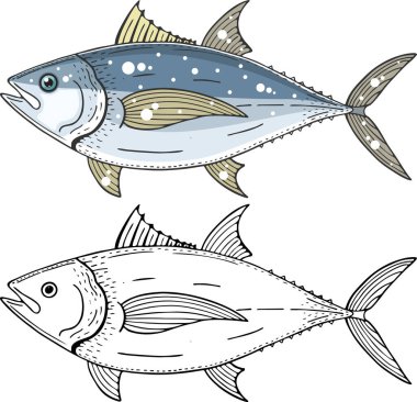ton balığı vektör illüstrasyonu
