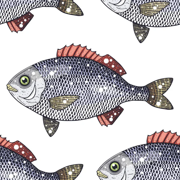 Риба Дорадо Векторні Ілюстрації — стоковий вектор