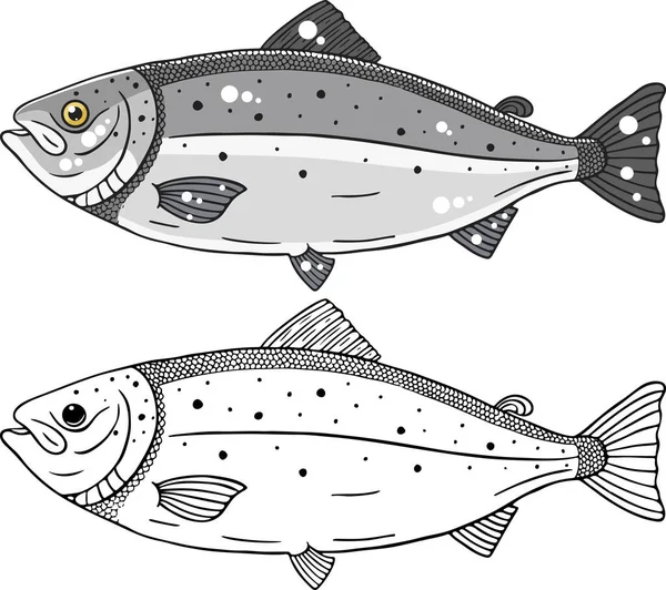 Illustrazione Vettoriale Del Pesce Salmone — Vettoriale Stock