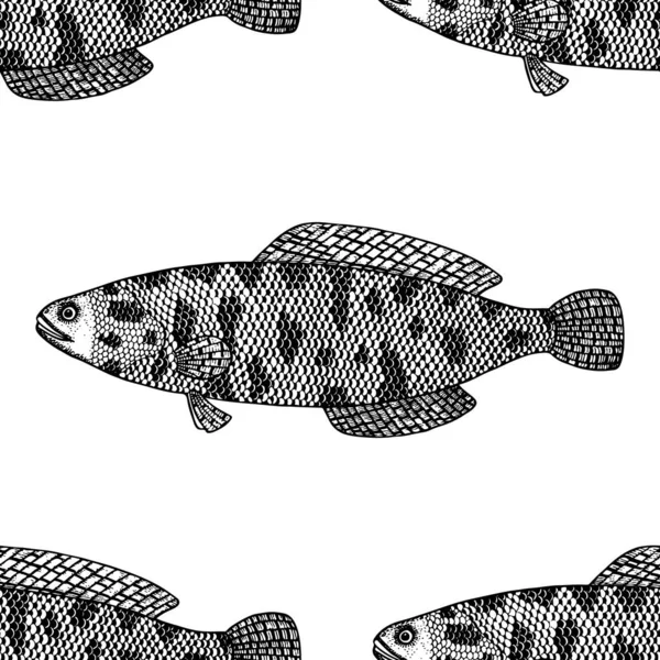 Serpente Testa Pesce Vettore Illustrazione — Vettoriale Stock