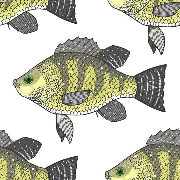 Риба Тилапія Векторні Ілюстрації — стоковий вектор