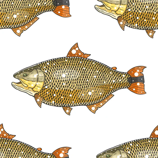 Gold fish vector illustration — Stock Illustration Gold Fish Vector Illustration Royalty Free Stock Illustrations