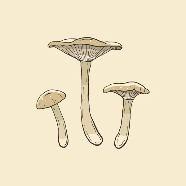 Grzyby Clitocybe Dealbata Jasnym Tle — Wektor stockowy