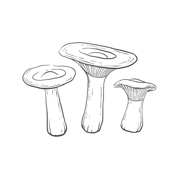 浅色背景下的卵泡型地理热带蘑菇 — 图库矢量图片