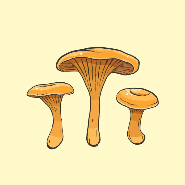 Hongos Hygrophoropsis Aurantiaca Sobre Fondo Claro — Vector de stock