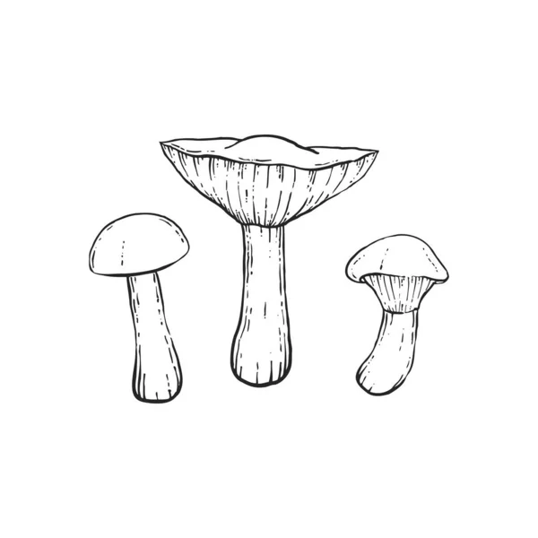 Hongos Hygrocybe Pratensis Sobre Fondo Claro — Archivo Imágenes Vectoriales