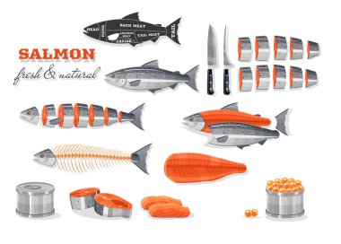 Somon rehberi, vektör kesimi