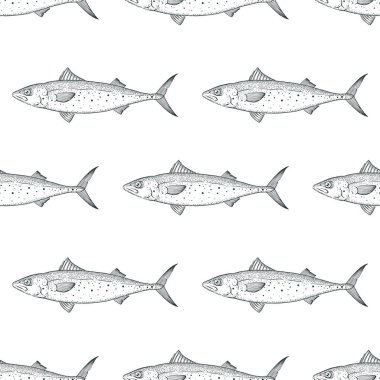 Uskumru balığı deseni, vektör çizimi