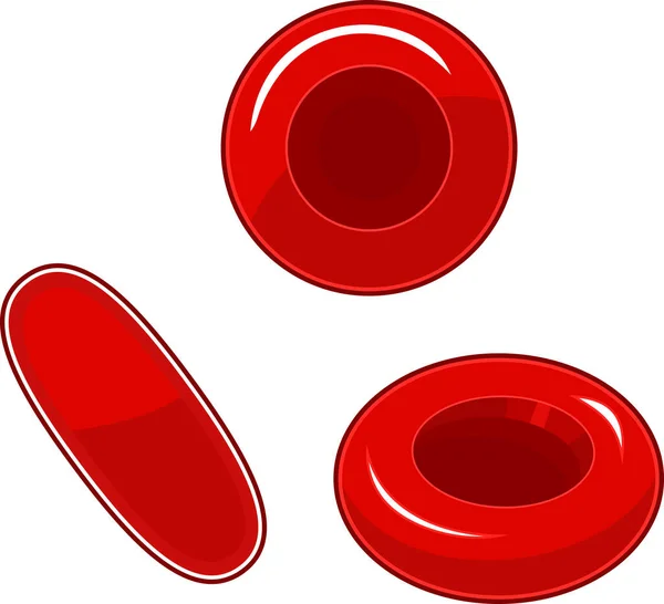 Blood Cells Vector Illustration — Stock Vector