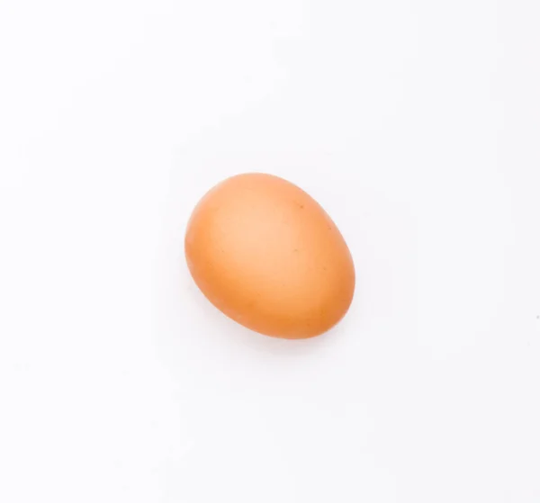 Huevo de gallina marrón sobre fondo blanco — Foto de Stock