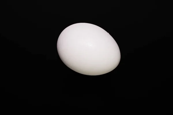 White chicken egg on a black background — Stock Photo, Image