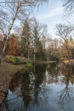 Nehir sonbaharda bir ormandan geçer.