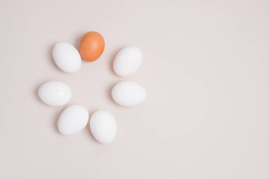 Altı beyaz yumurta ve bir kahverengi yumurta bej arka planda bir daire şeklinde serilmiş.