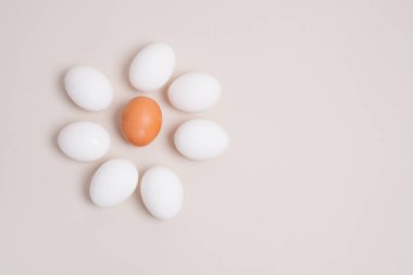 Yedi beyaz yumurta ve bir kahverengi yumurta bej bir arka planda çiçek şeklinde serilmiş.