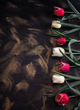 Siyah ahşap arka planda yedi renkli lale.