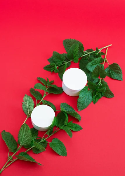 Dois Recipientes Brancos Creme Com Ramos Verdes Fundo Vermelho — Fotografia de Stock