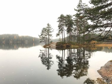 Göle yansıyan ağaçlar