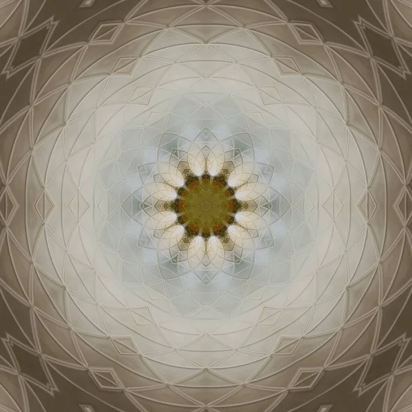 Detalhe Close Macrofotografia Duplo Lírio Arum Branco Transformado Diversos Hexagonal — Fotografia de Stock