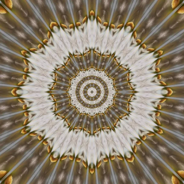 单瓣白色兰花的特写镜头细节宏观摄影转化为不同的图案和设计 具有径向六角形花卉的奇幻造型 — 图库照片