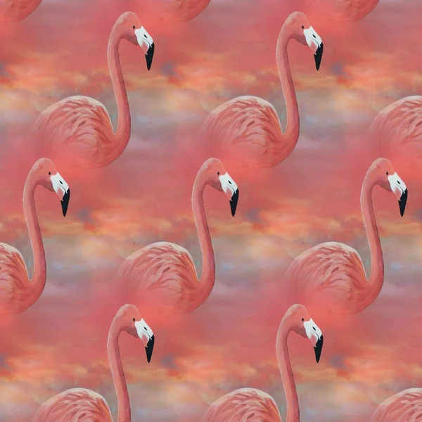 many bright European flamingo patterns contemporary art with pink background