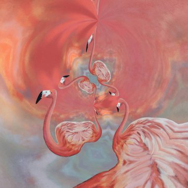 Birçok parlak Avrupa flamingo desenleri pembe arka planlı çağdaş sanat