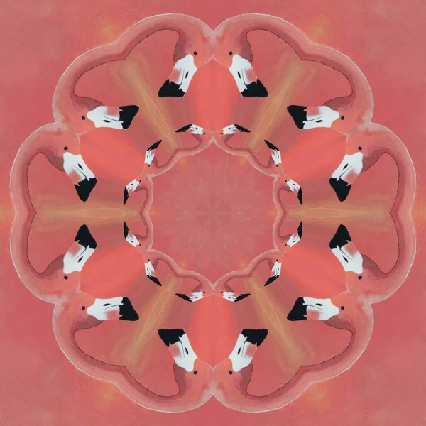 Många Ljusa Europeiska Flamingo Mönster Samtida Konst Med Rosa Bakgrund — Stockfoto