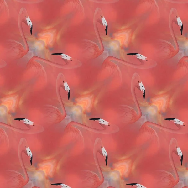 Many Bright European Flamingo Patterns Contemporary Art Pink Background — Stock Photo, Image