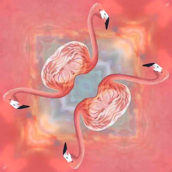 Sok Fényes Európai Flamingó Minták Kortárs Művészet Rózsaszín Háttér — Stock Fotó