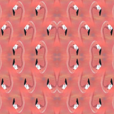 Birçok parlak Avrupa flamingo desenleri pembe arka planlı çağdaş sanat