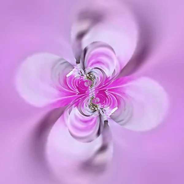 Цветочные Фантазии Одного Розового Цвета Георгины Расцветают Крупным Планом Помощью — стоковое фото