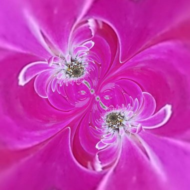 Parlak neon pembenin gölgeleri birçok karmaşık soyut çiçekli fantezi desenleri şekiller ve tasarımlar