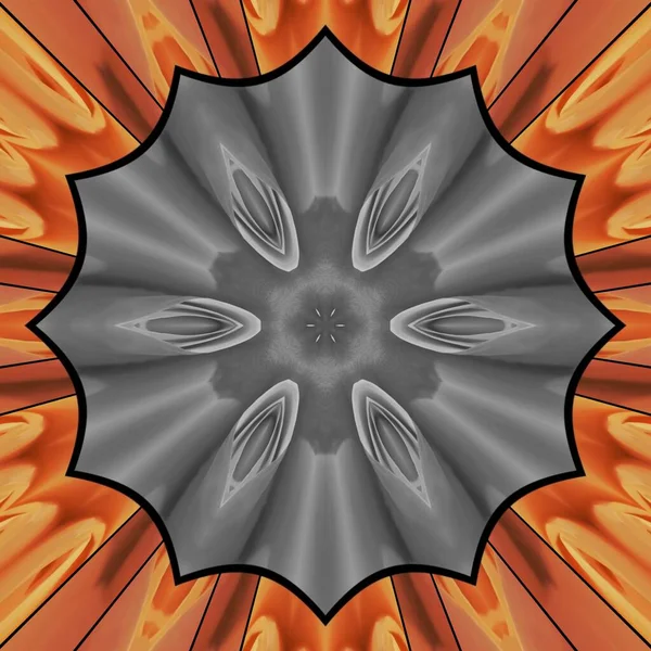 Kolekcja Collage Kolorowe Pomarańczowy Kwiat Głowy Połączeniu Teksturowany Naturalny Beżowy — Zdjęcie stockowe