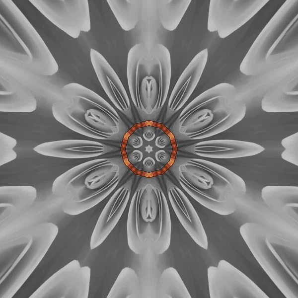 Kolekcja Collage Kolorowe Pomarańczowy Kwiat Głowy Połączeniu Teksturowany Naturalny Beżowy — Zdjęcie stockowe