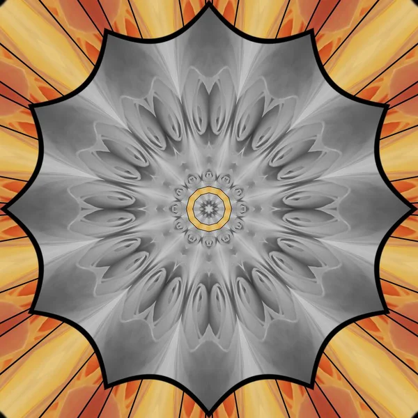 천연색의 베이지 과어우러진 오렌지색 꽃송이의 콜라주는 미래학적 기하학적 육각형의 환상적 — 스톡 사진