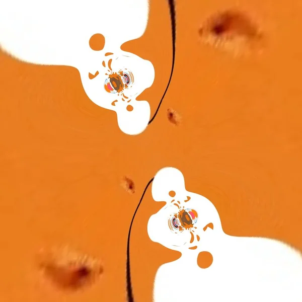 Collage Samling Färgade Orange Blomma Huvud Kombination Med Strukturerad Naturlig — Stockfoto