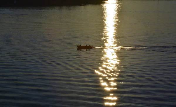 Stockholm archiepelago, Suède. 25 juillet 2014. Coucher de soleil en mer Baltique.Un petit bateau navigue à travers la réflexion du soleil avec les passagers à bord vers la côte sombre . — Photo