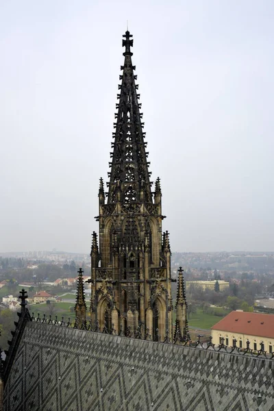 Praga Repubblica Ceca Marzo 2014 Cattedrale San Vito — Foto Stock