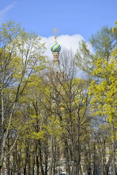 Saint Petersburg, Rusya, 2 Mayıs 2014, Genç yeşil ağaçlarda dökülen kan kilisesinin kurtarıcısı. Mikhaylovskiy Skver 'dan görüntü