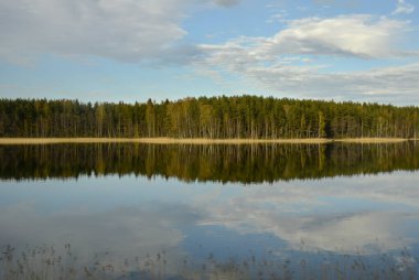 Güney Karelia, Finlandiya, 10 Mayıs 2014. Saimaa Gölü, gölün diğer tarafındaki mavi bulutlu gökyüzünü, yeşil ormanı yansıtır..