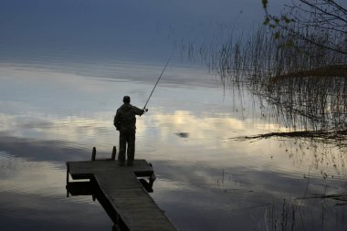 Güney Karelia, Finlandiya, 10 Mayıs 2014, güneş ışığı bulutlarını yansıtan ayna su yüzeyi. Gölde kuru otlar, arka planda karanlık ormanlar..