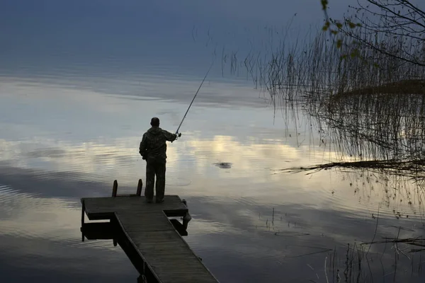 芬兰卡累利阿南部 2014年5月10日 镜像水面反射太阳光云 干草矗立在湖中 黑森林在背后 — 图库照片