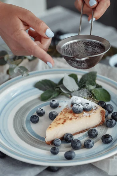 Pudra şekeri peynirli kekin üstüne elek dökülür. Dekoratif arka planda cheesecake. Yabanmersinli cheesecake.