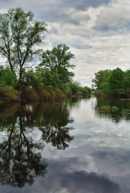 Nehir yan Ukrayna görüntü ile manzara