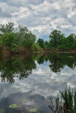 Nehir yan Ukrayna görüntü ile manzara